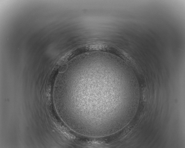 X0000080150737200612151829