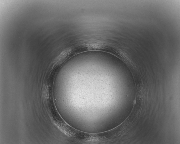 X0000080150738200612151829