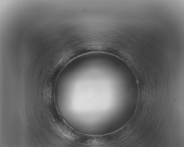 X0000080150739200612151829