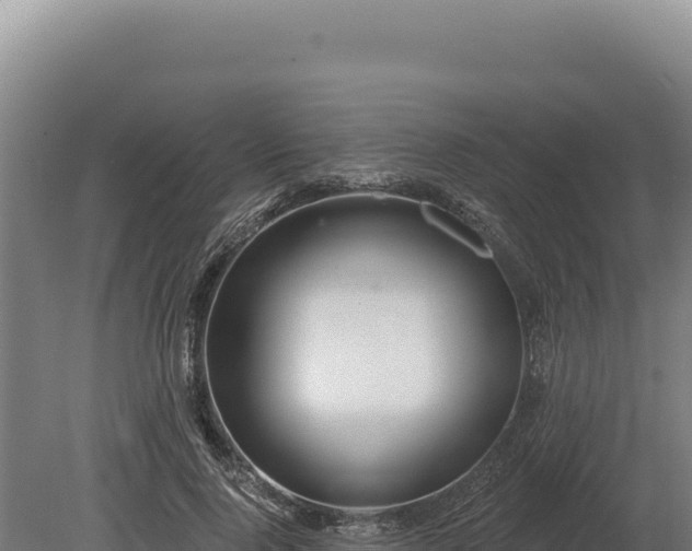 X0000080150740200612151829