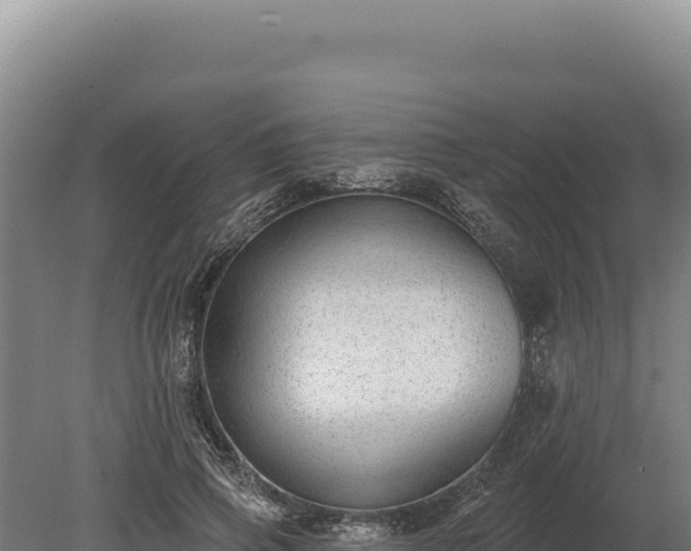 X0000080150741200612151829