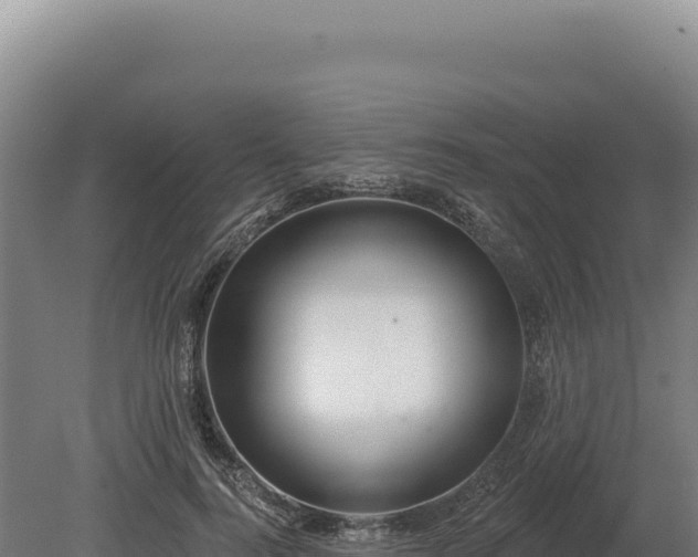 X0000080150744200612151830