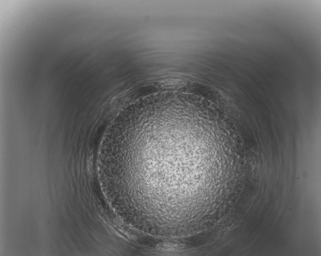 X0000080150745200612151830