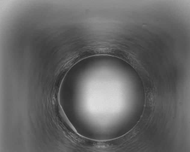 X0000080150746200612151830