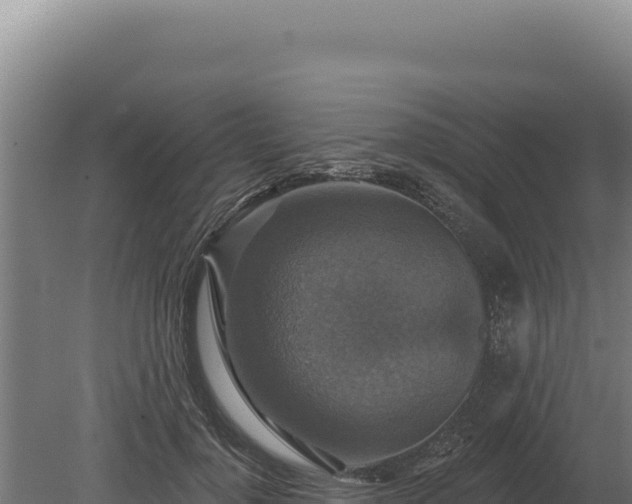 X0000080150748200612151830