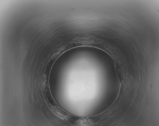 X0000080150752200612151830