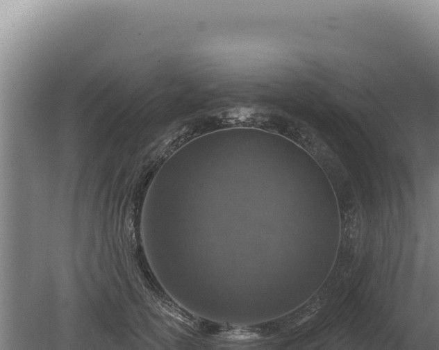 X0000080150754200612151830