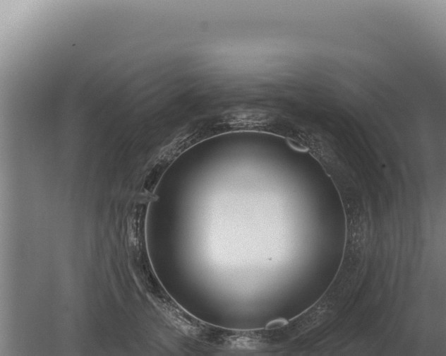 X0000080150755200612151830