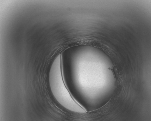 X0000080150756200612151830