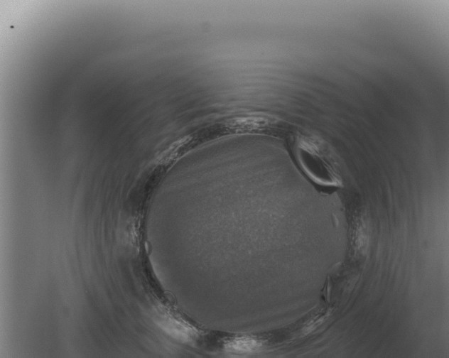 X0000080150759200612151830