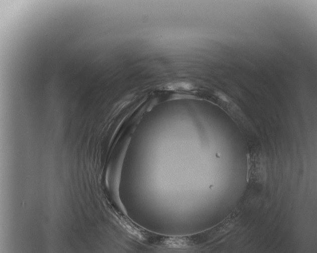 X0000080150762200612151830