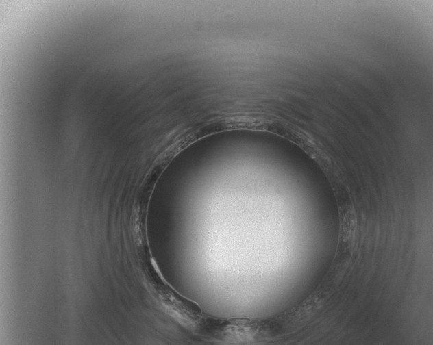 X0000080150764200612151830