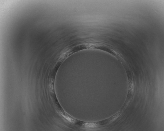 X0000080150766200612151830