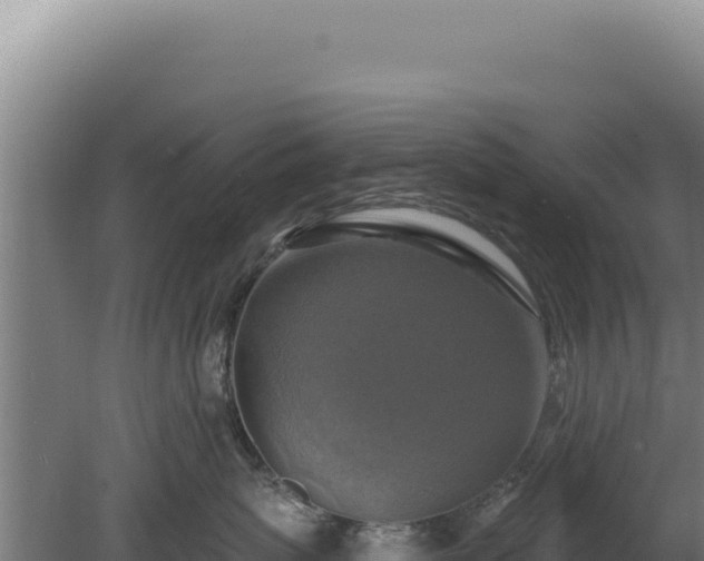 X0000080150767200612151830