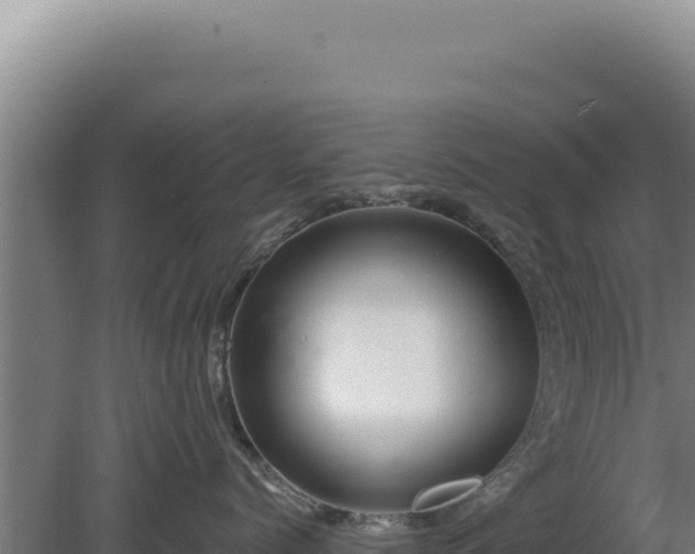 X0000080150768200612151830