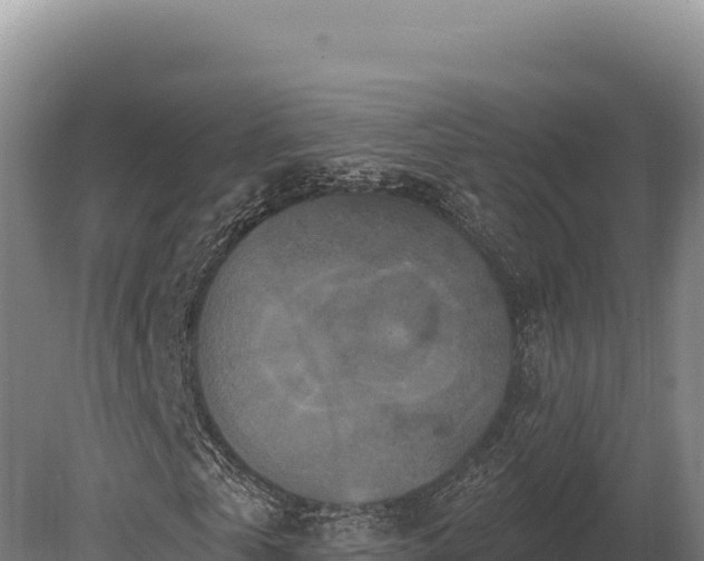 X0000080150769200612151829