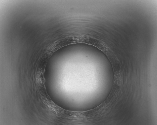 X0000080150770200612151829