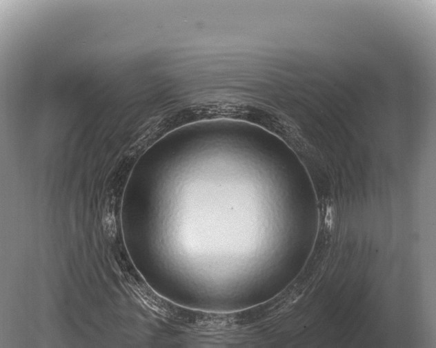 X0000080150771200612151829