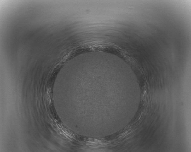 X0000080150772200612151829