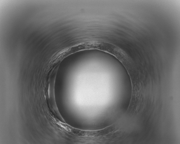 X0000080150773200612151829