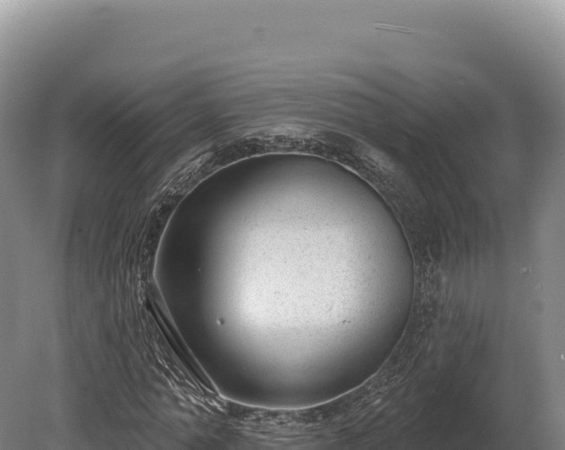 X0000080150774200612151829