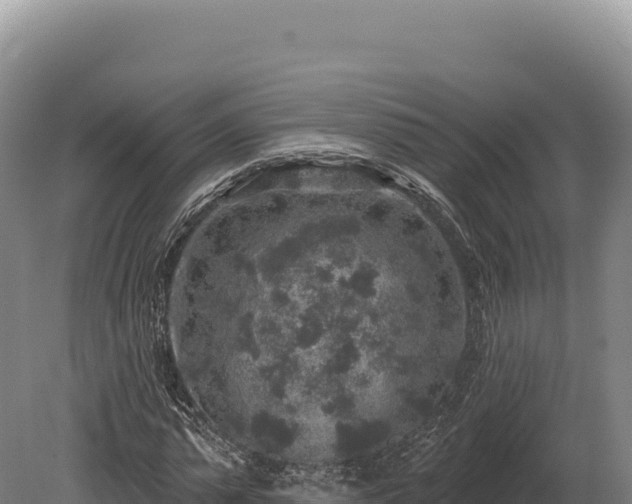 X0000080150775200612151829