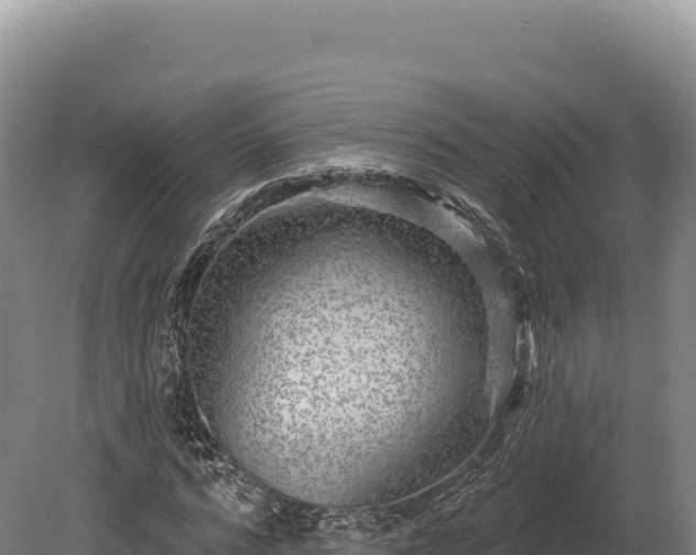 X0000080150776200612151829