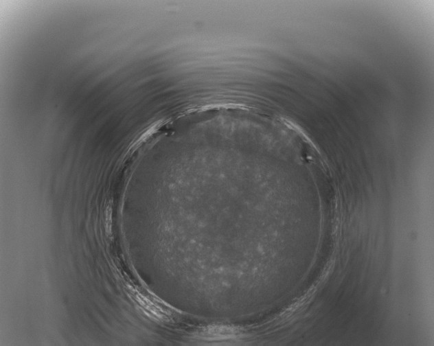 X0000080150777200612151829