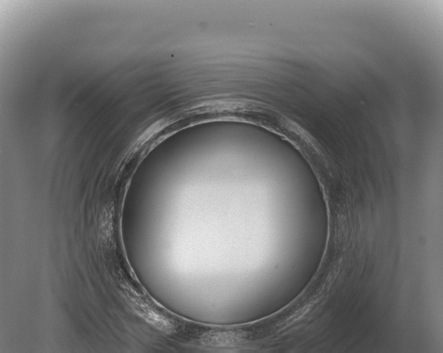 X0000080150778200612151829