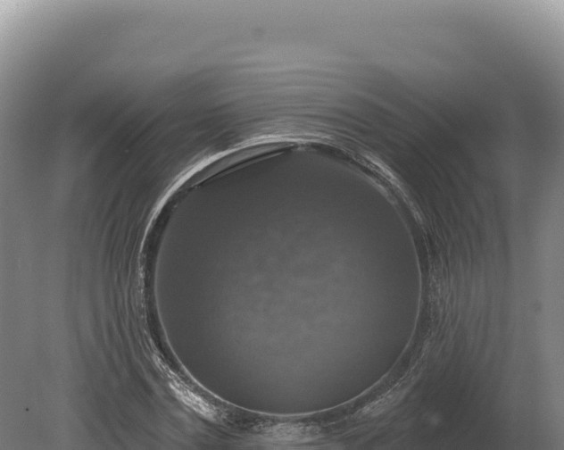 X0000080150779200612151829