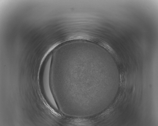 X0000080150780200612151829