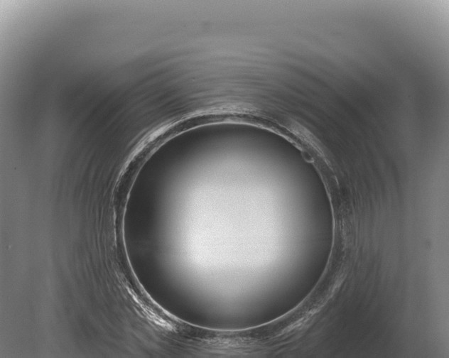 X0000080150781200612151829