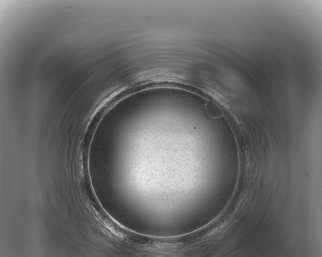 X0000080150782200612151829