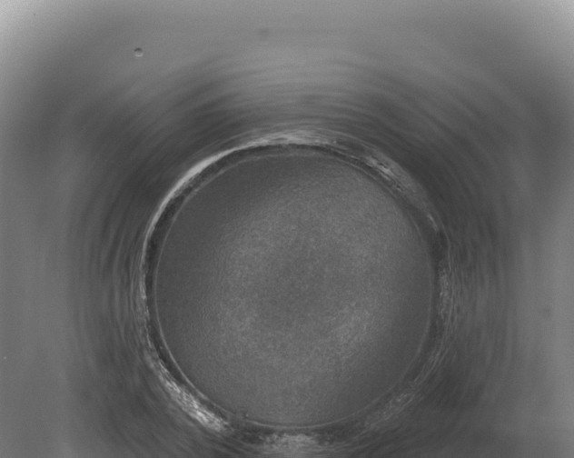 X0000080150784200612151829