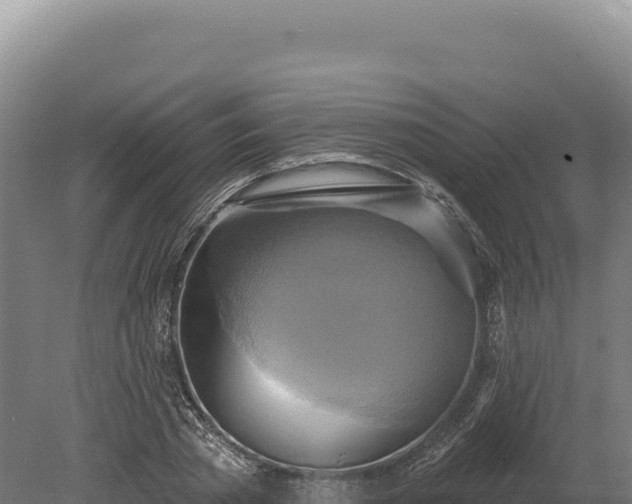 X0000080150785200612151829