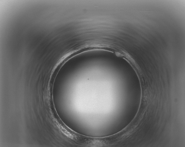 X0000080150787200612151829