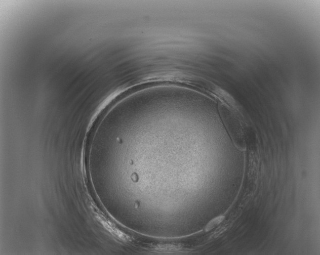 X0000080150788200612151829