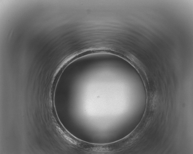 X0000080150789200612151829