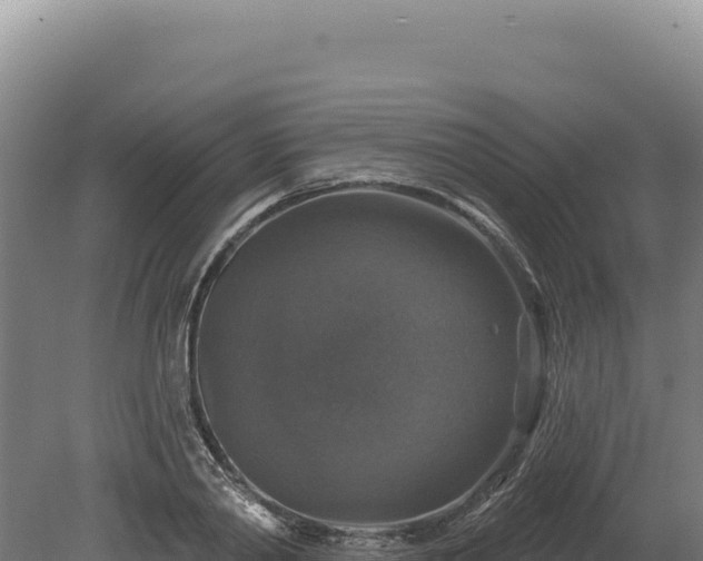 X0000080150790200612151829