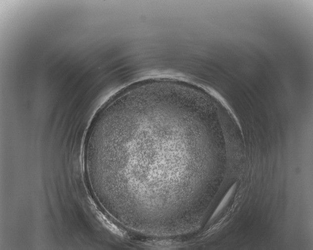 X0000080150791200612151829