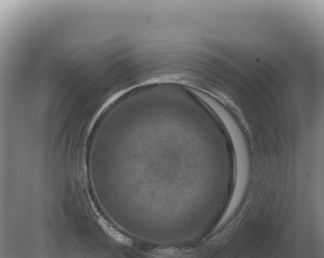 X0000080150792200612151829