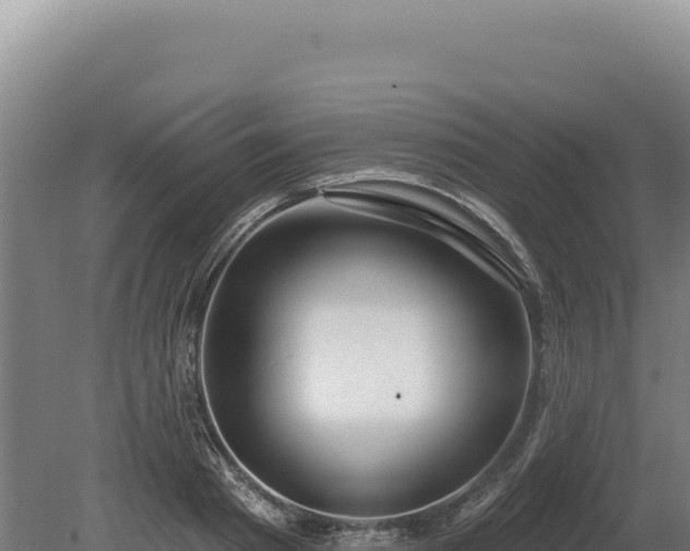 X0000080150793200612151829