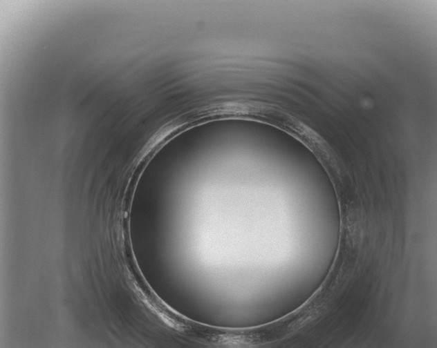 X0000080150794200612151829