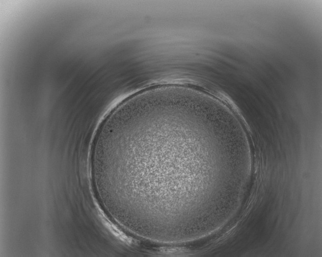 X0000080150795200612151829