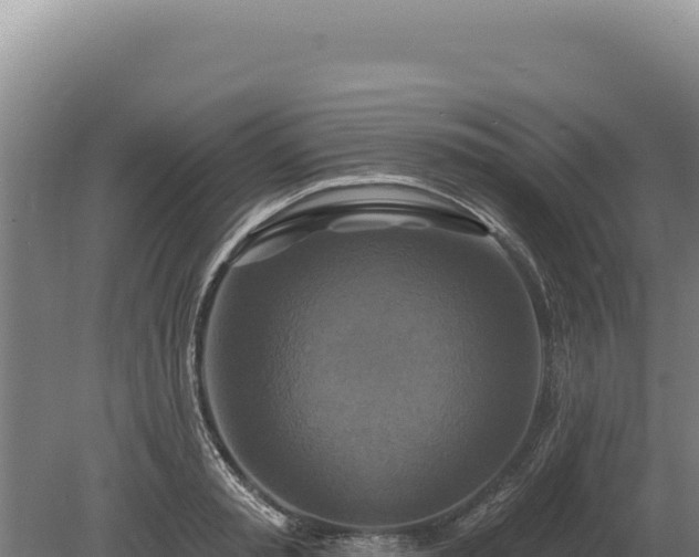 X0000080150797200612151829