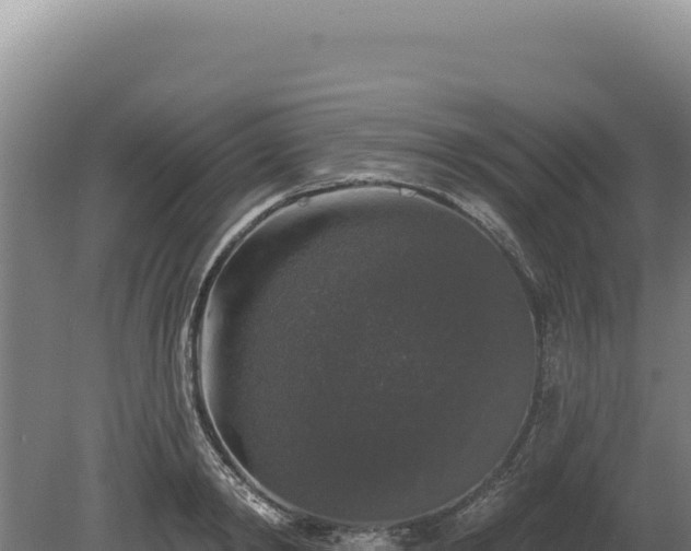 X0000080150798200612151829