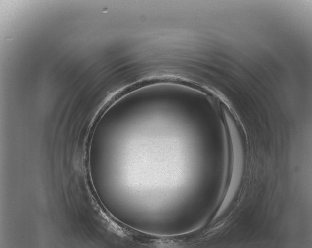 X0000080150799200612151829