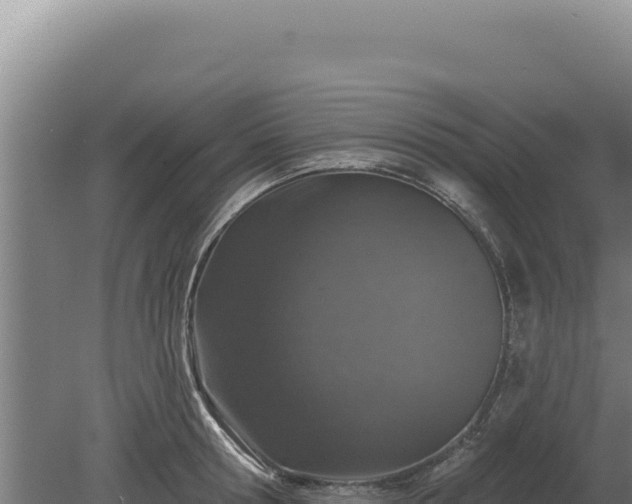 X0000080150802200612151829