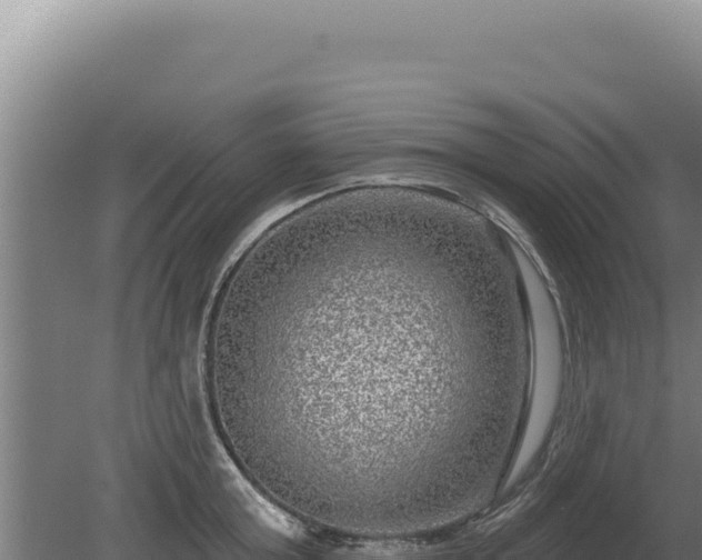 X0000080150803200612151829