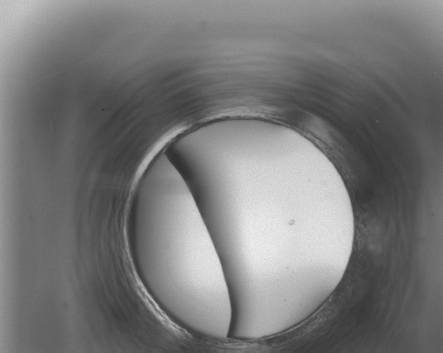 X0000080150804200612151829